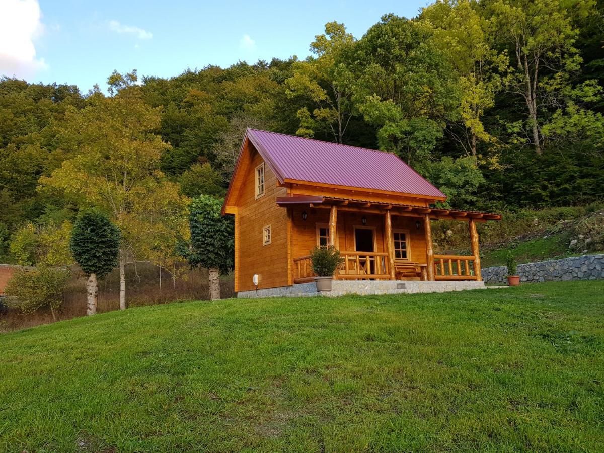 Holiday Home Milica Kolašin Extérieur photo