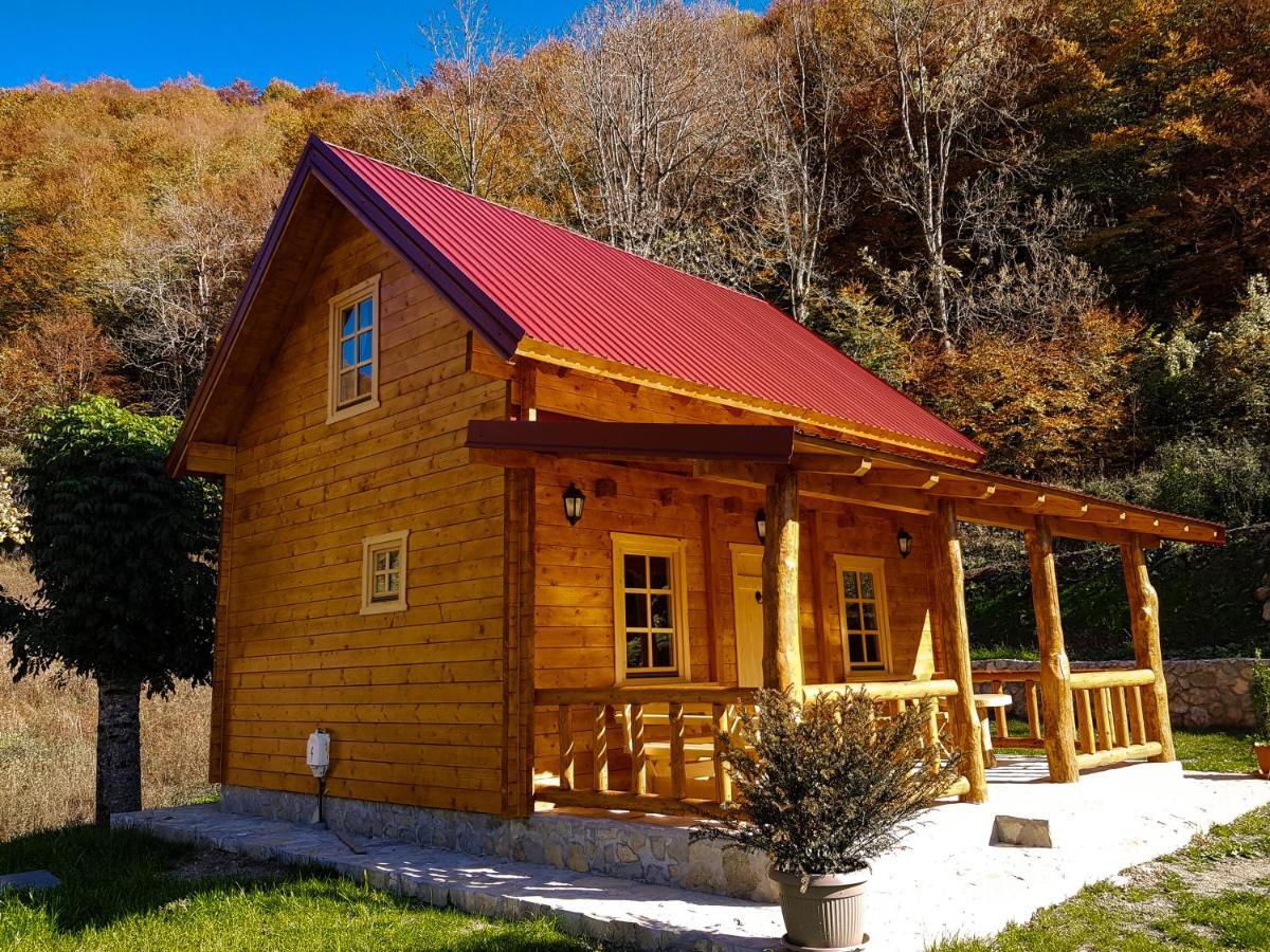 Holiday Home Milica Kolašin Extérieur photo